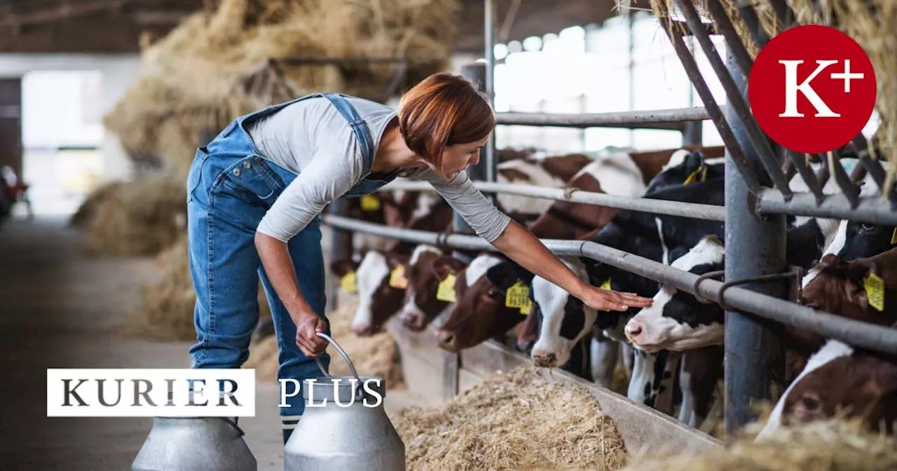 Frauen in der Landwirtschaft: 'Bäuerinnen reden nicht viel, sondern machen'