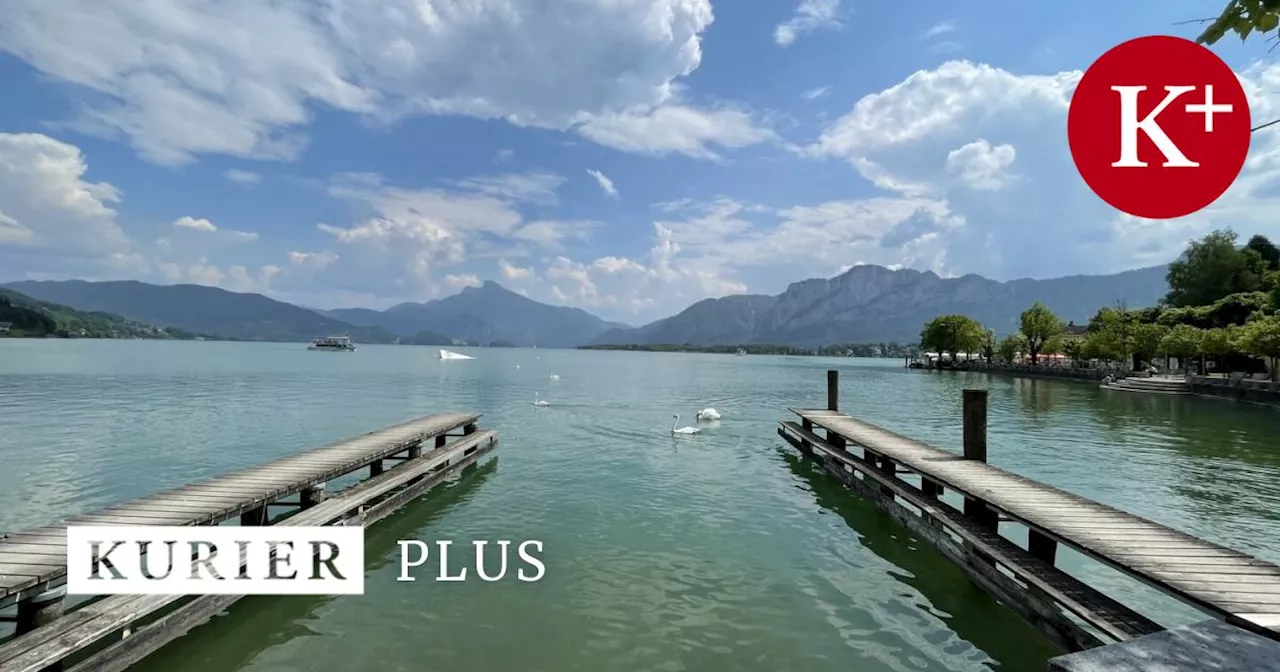 Luxusvilla statt Landwirtschaft? Umstrittener Bauernhof am Mondsee