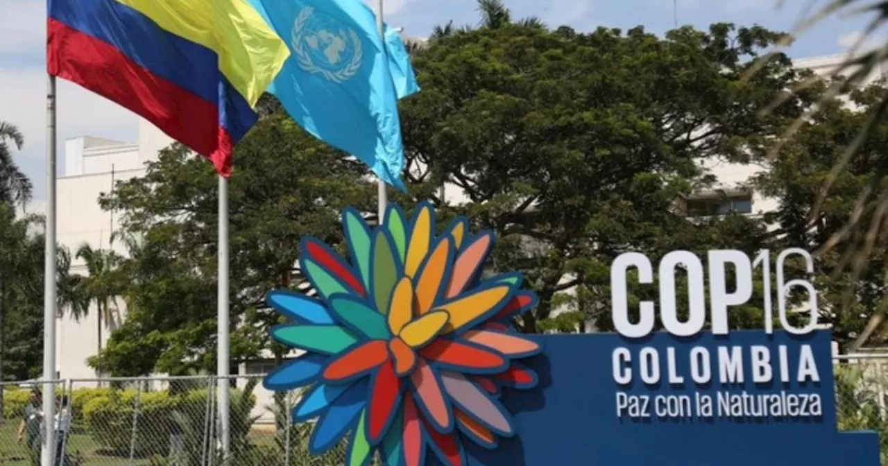 Colombia entrega oficialmente la Zona Azul a la ONU para la COP16