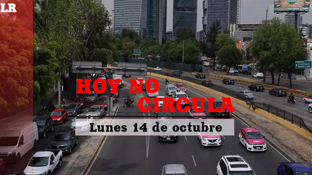 Hoy No Circula: ¿Qué autos descansan HOY lunes 14 de octubre en la CDMX?