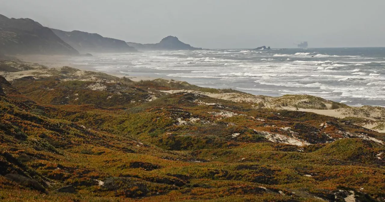 White House announces first California marine sanctuary managed by Indigenous peoples