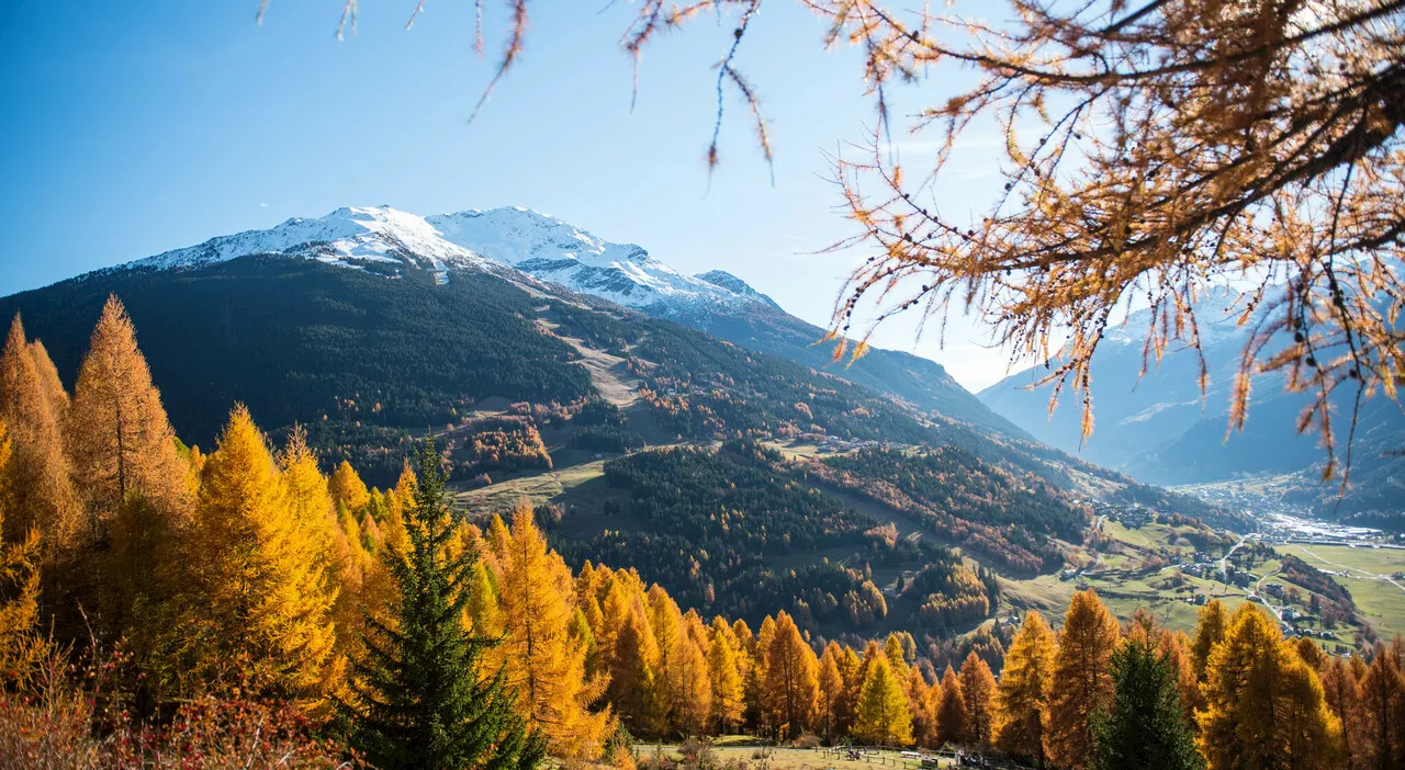 Foliage in Valtellina: i 7 spot più belli per ammirare i colori del foliage in autunno