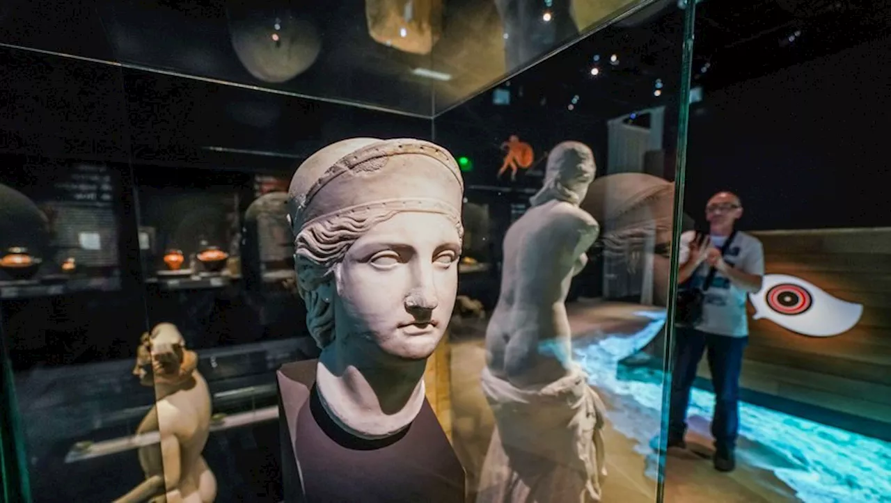 Le musée de la Romanité à Nîmes a accueilli plus de 80 000 visiteurs cet été