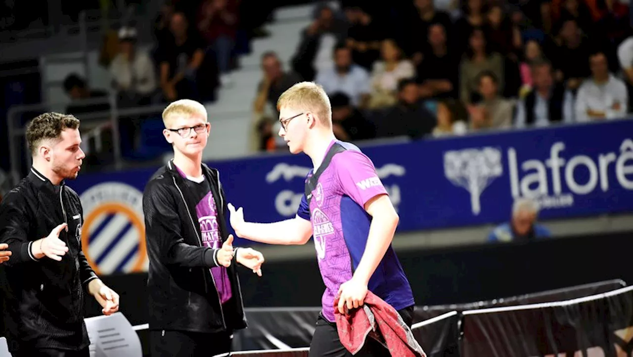 Tennis de table : les championnats d'Europe à portée des Montpelliérains Alexis et Félix Lebrun