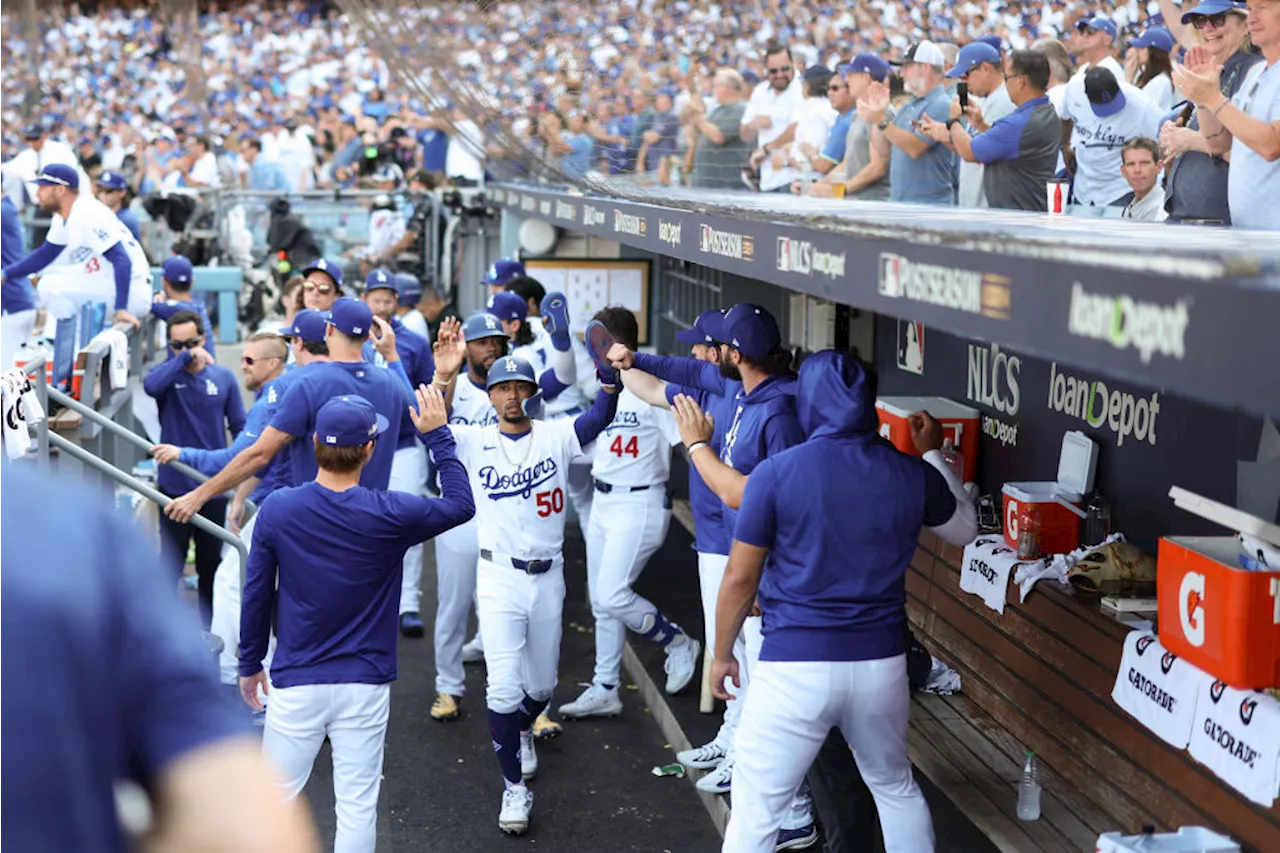 Watch: wild snake slithers into Dodgers dugout during Game 2 of NLCS