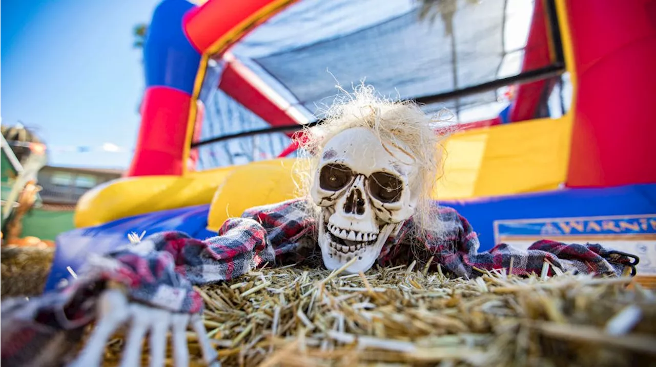 Halloween events bring spooky season to life in San Diego