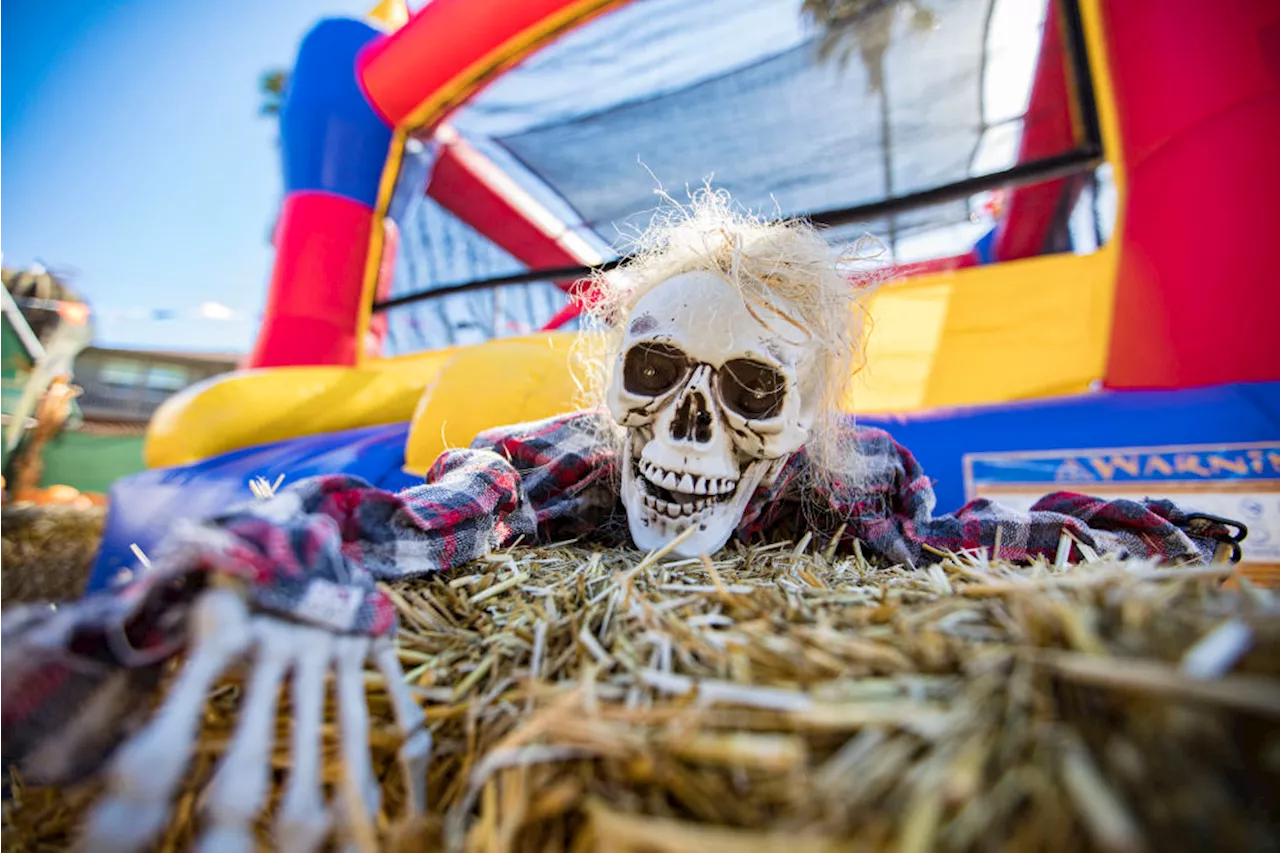 These Halloween events bring spooky season to life in San Diego