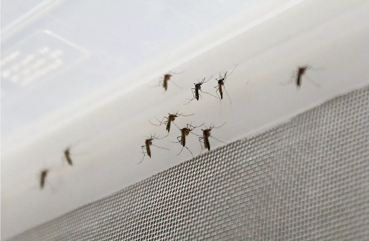 First EEE death reported in Vermont since 2012