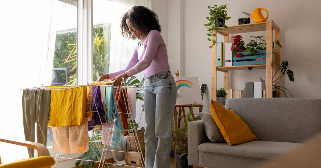 Martin Lewis says to replace 'demon' appliance with dehumidifier to save money