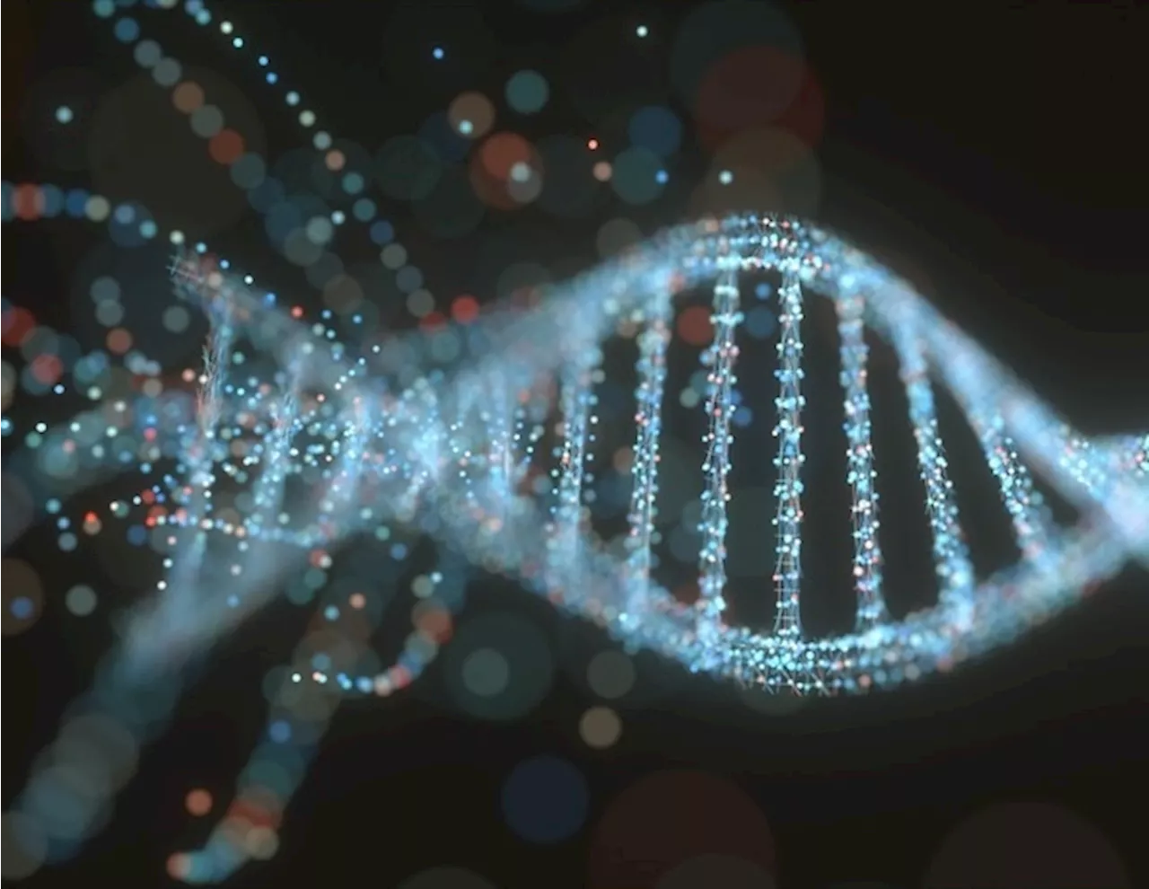 Computational tools for unlocking the secrets of the genome