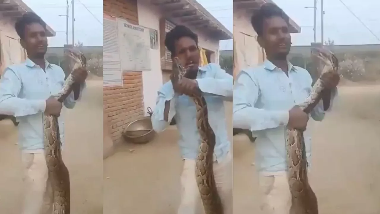 Viral Video : अजगर ने युवक के मुंह को लिया नोच, देख वीडियो कांप जाएगी रूह