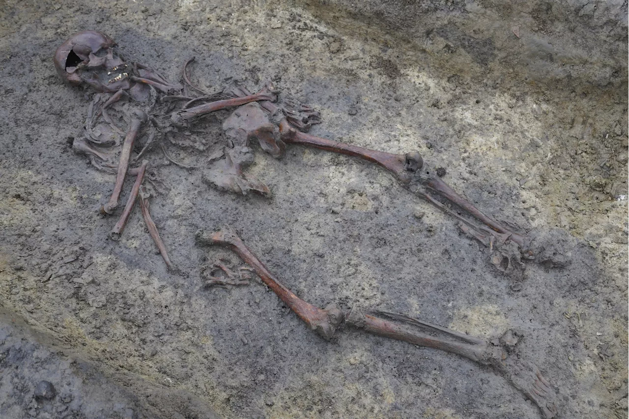 Archaeologists Find 50 'Exceptionally Well-Preserved' Viking-Era Skeletons