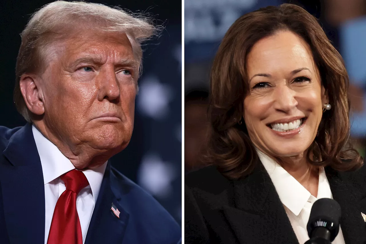 Donald Trump Slipping Against Kamala Harris in New Survey From Economists