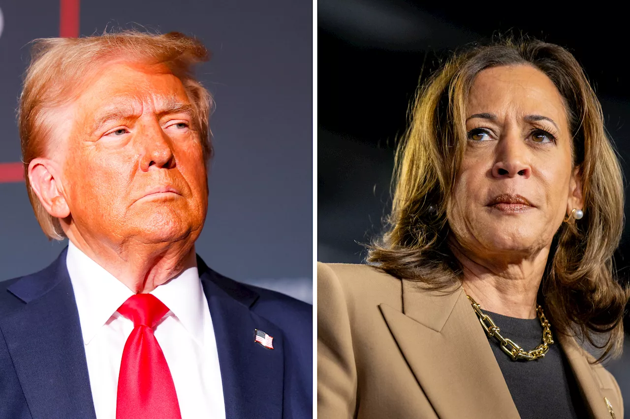 Election 2024: Donald Trump and Kamala Harris Campaign Tracker