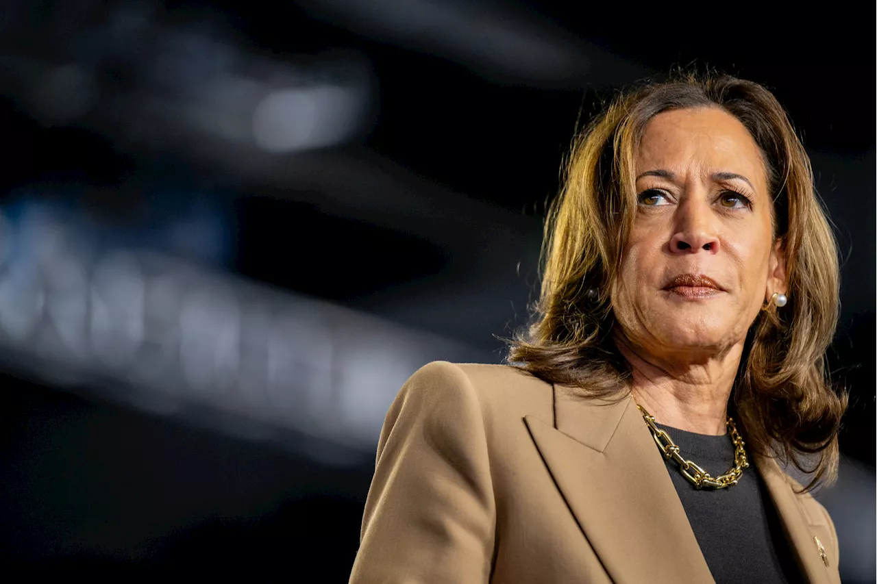 Kamala Harris Agrees to Her First Fox News Interview: What We Know