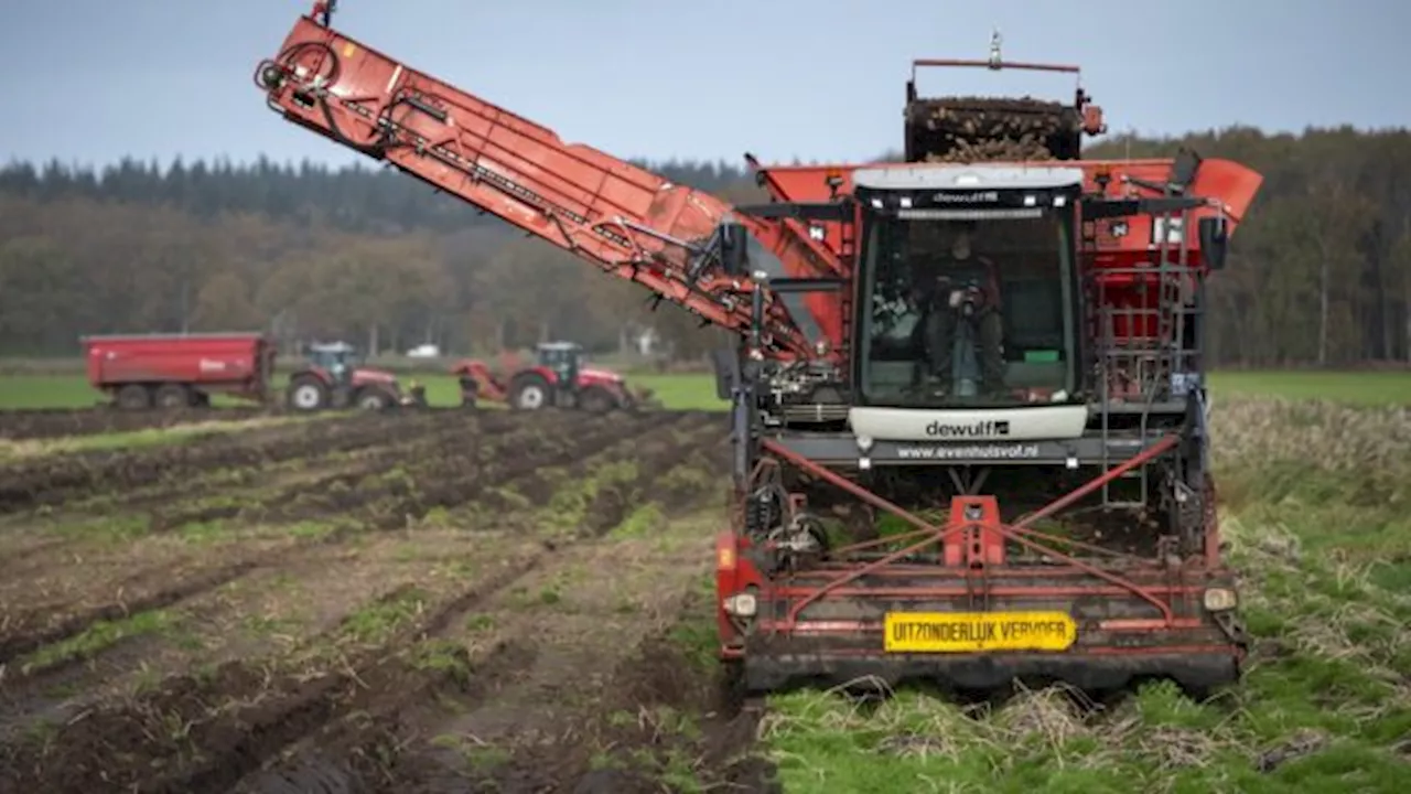 Waarom boeren af willen van deadlines voor de oogst