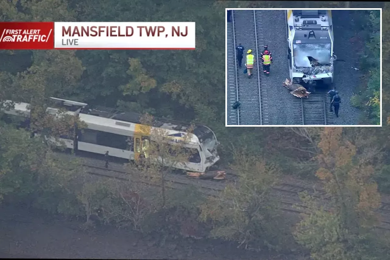 One person killed, 6 injured in freak accident after tree falls on train traveling through New Jersey