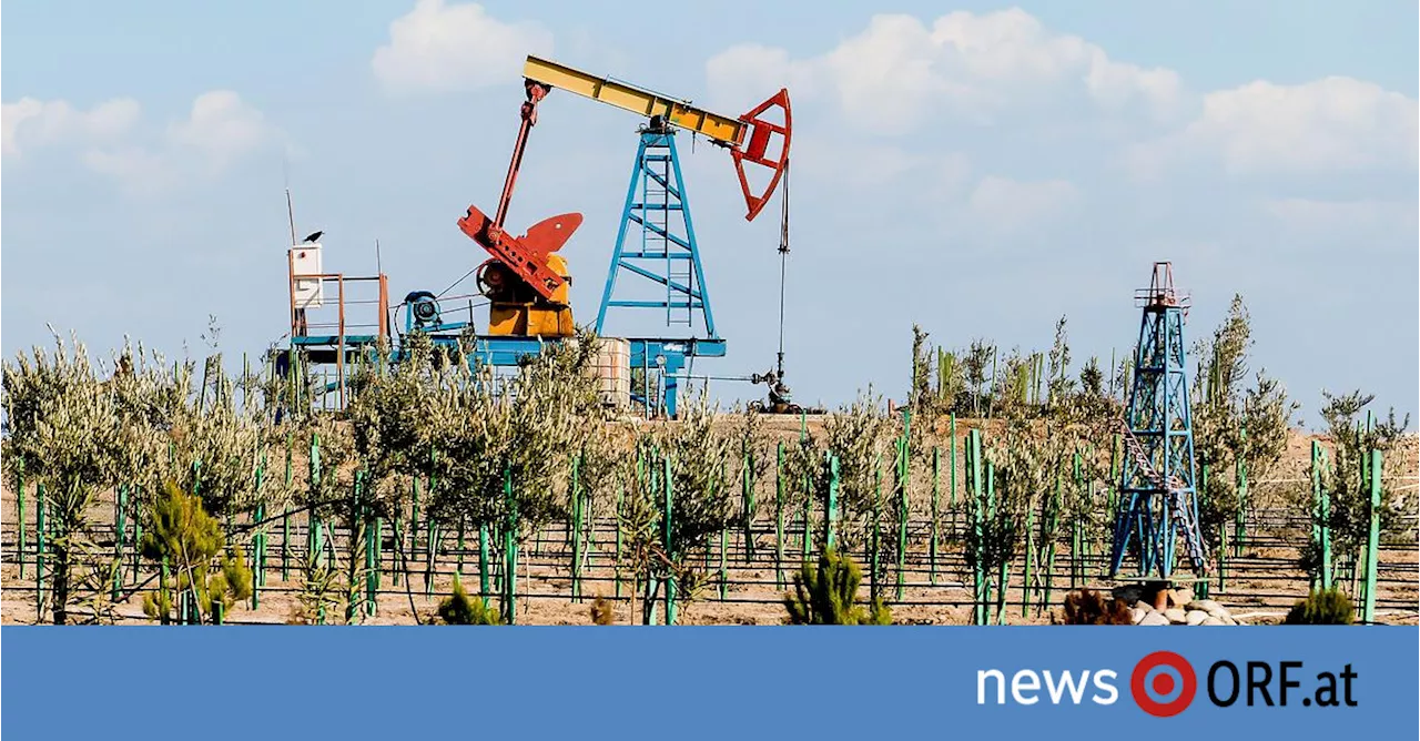 „Greenwashing“: Kritik an Gastgeber der Weltklimakonferenz