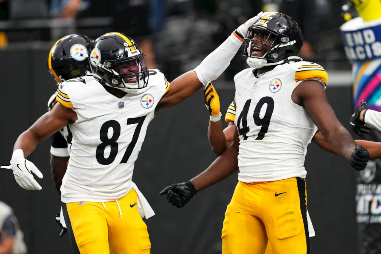 Ex-Ravens OLB impresses in surprise first start with Pittsburgh Steelers