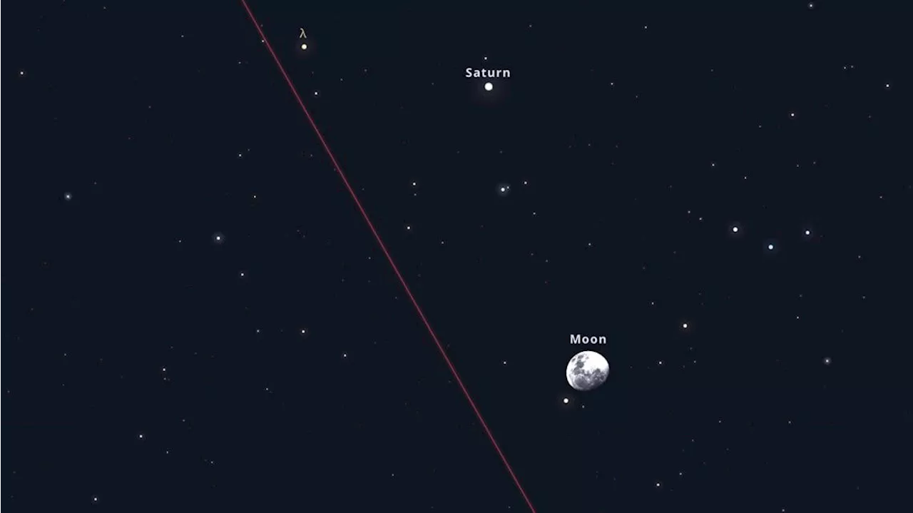 Cómo ver el fenómeno astronómico que la Luna y Saturno protagonizarán este lunes
