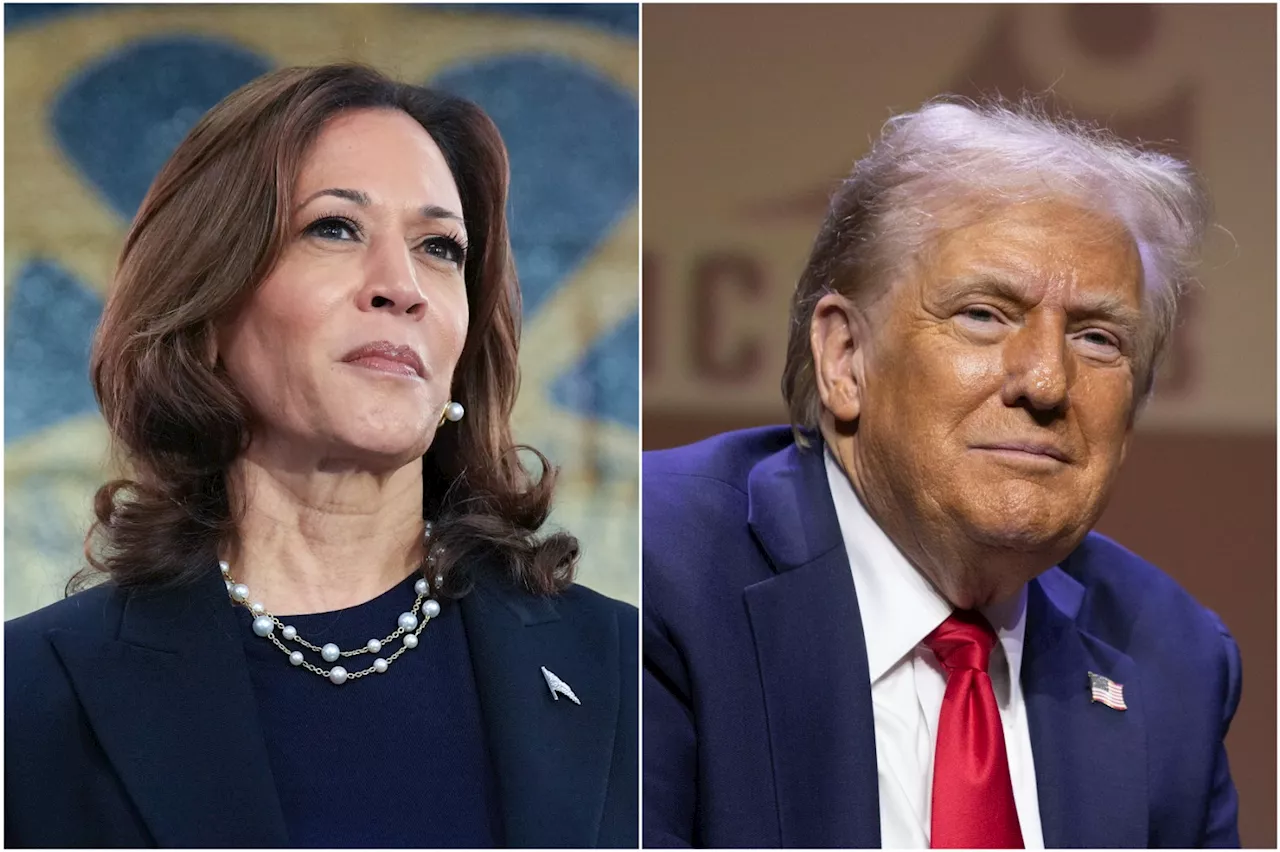 Trump Is Big Mad That Fox News Is Interviewing Harris