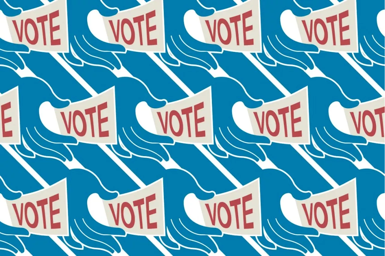 Election 2024: San Diego County voter guide