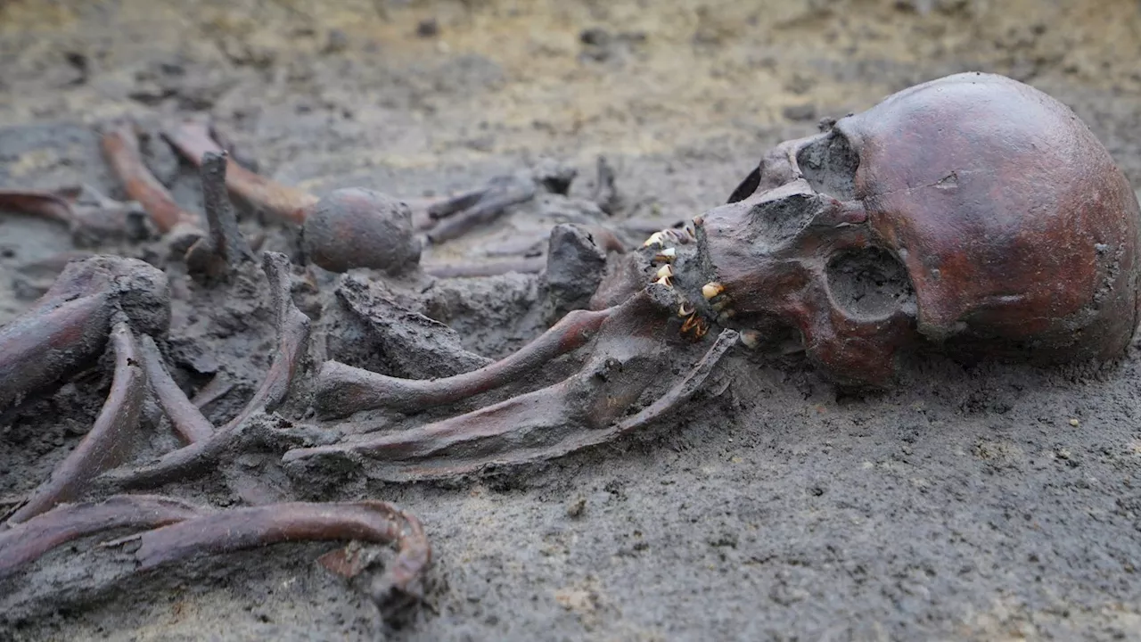 50 'well-preserved' skeletons from Viking Age unearthed in Denmark