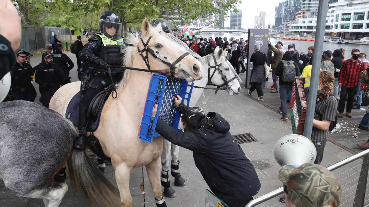 Four more charged over assault of police, horses at Melbourne protest