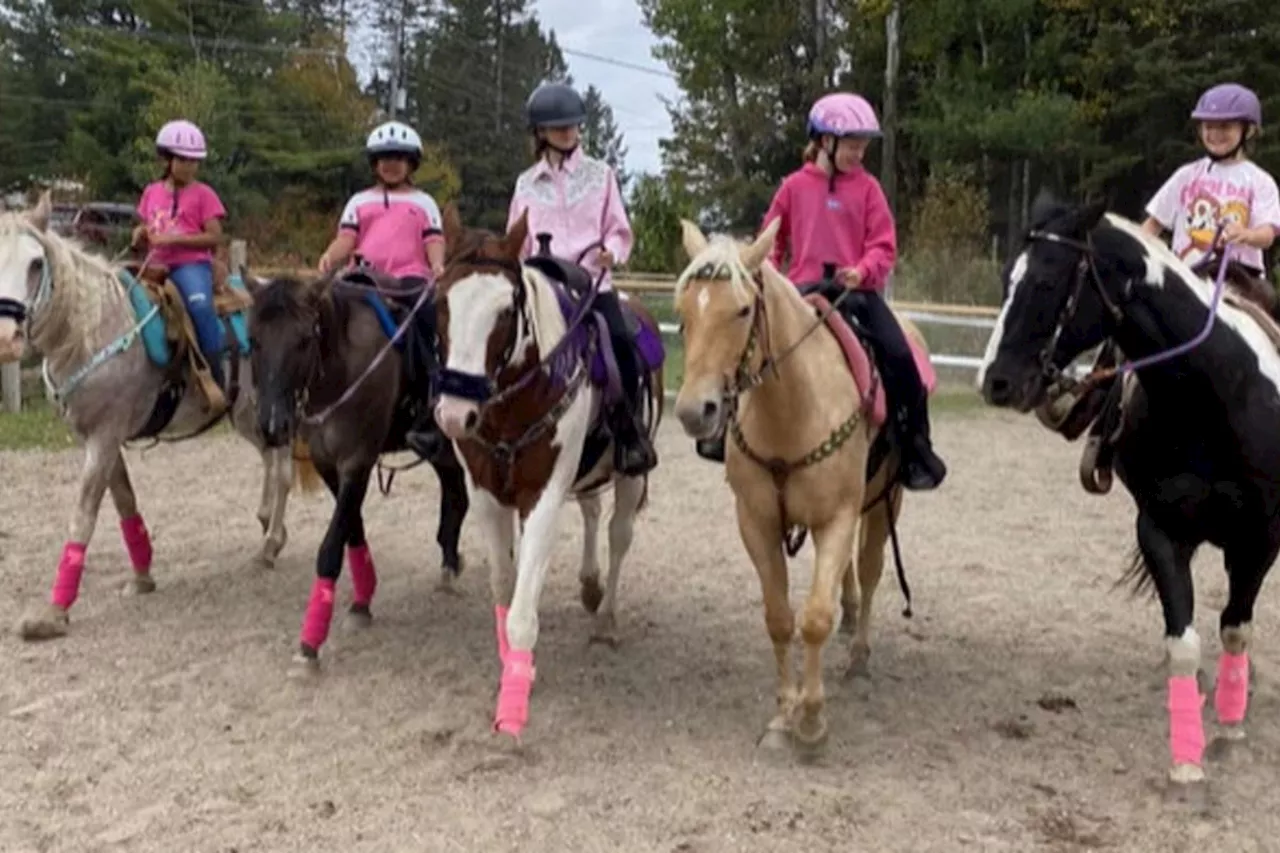 Annual horse show to feature vigil in memory of junior wrangler