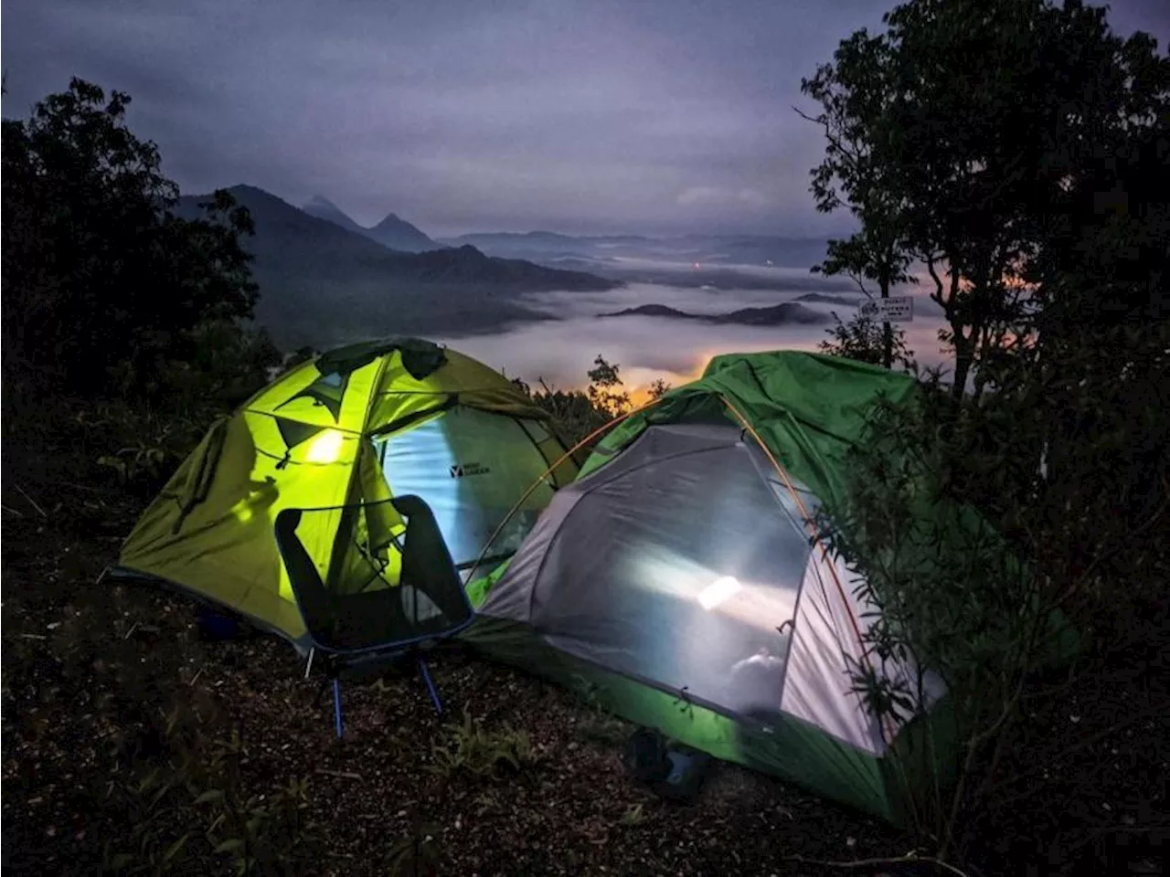 Climber killed by tree while sleeping at camp in Jerantut