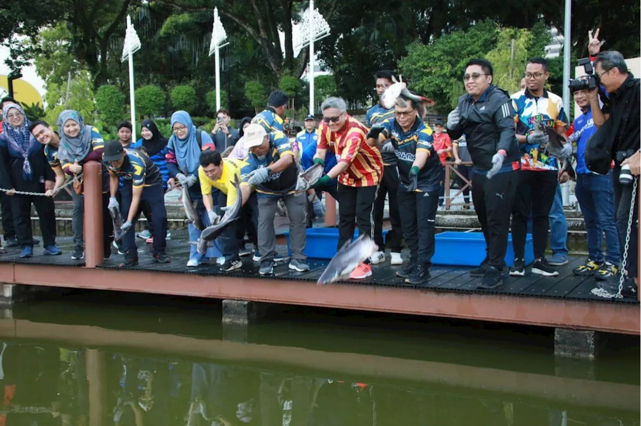 Fish released at Shah Alam lake not listed as foreign or prohibited, claims MBSA