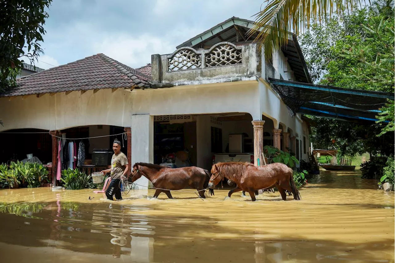 People of Temerloh shocked, surprised by 'early' flood arrival in October