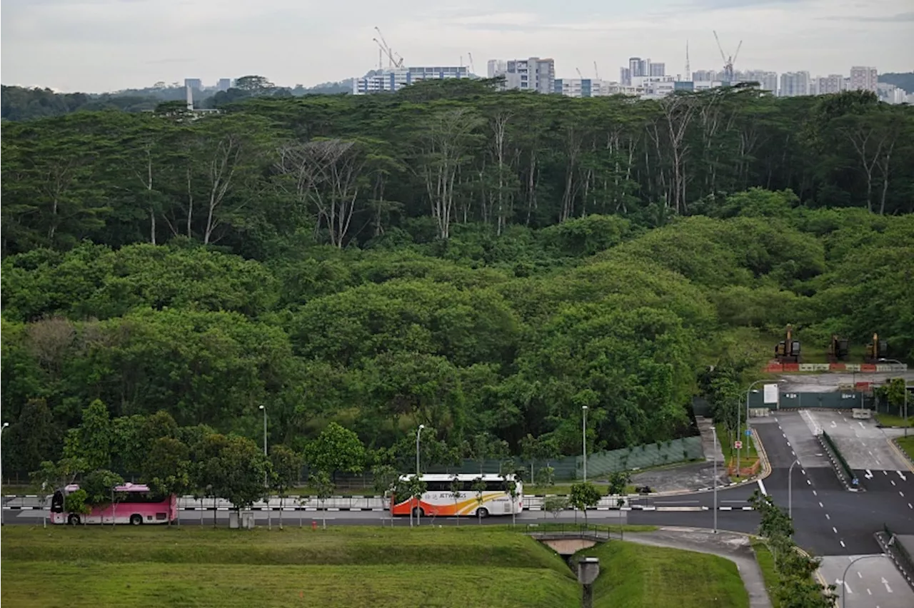 Two key projects to transform Lim Chu Kang into high-tech food hub delayed