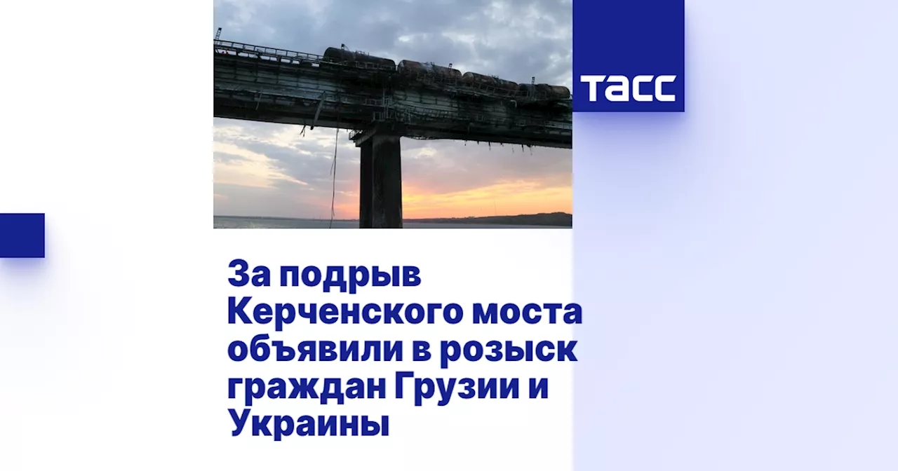 Следствие объявило в межгосударственный розыск грузина и украинца по делу о подрыве Керченского моста