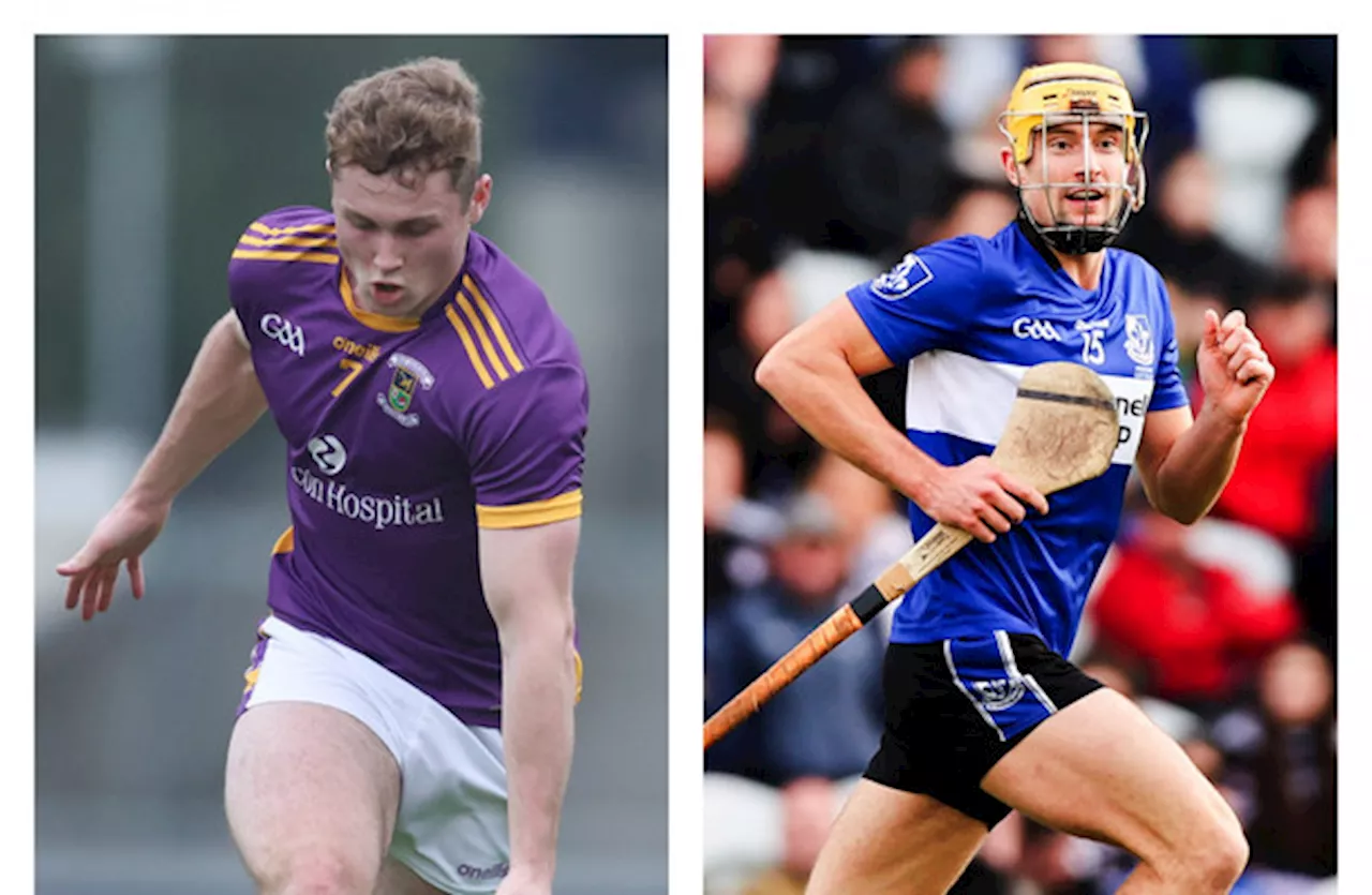 Dublin and Cork GAA county senior finals live on TV this weekend