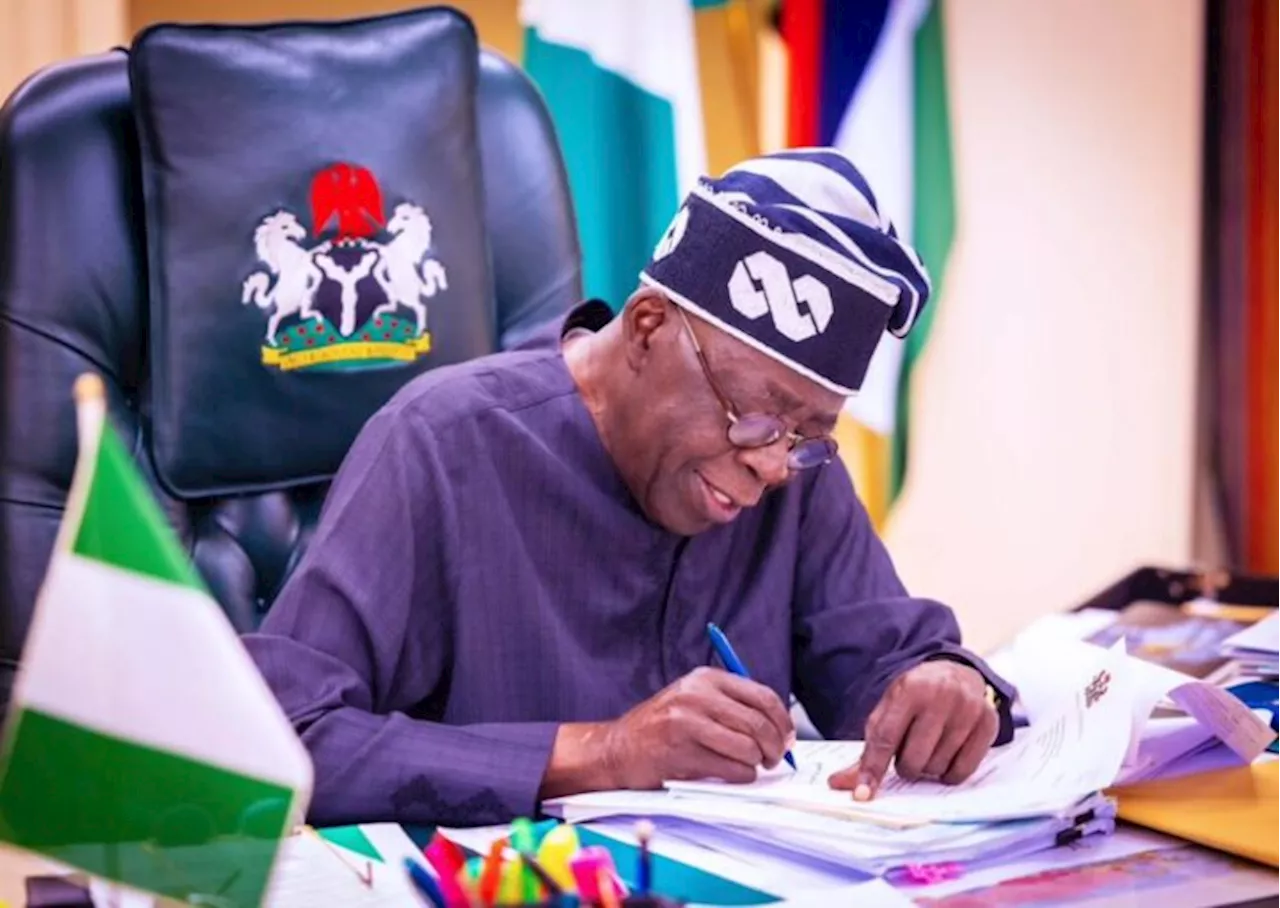 ‘Many desire it'— diaspora group asks Tinubu to grant Nigerian citizenship to black foreigners