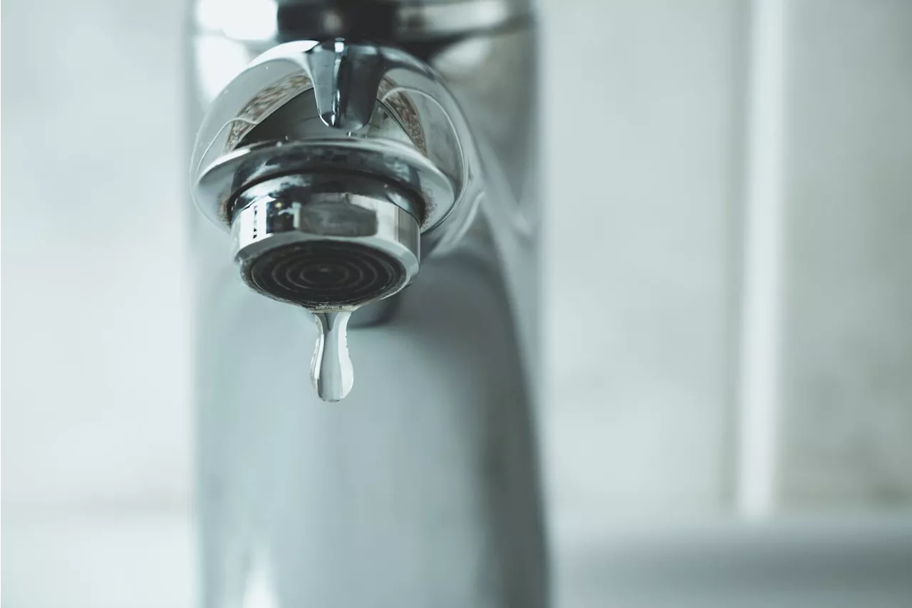 Rand Water warns Gauteng residents to brace for water shortages