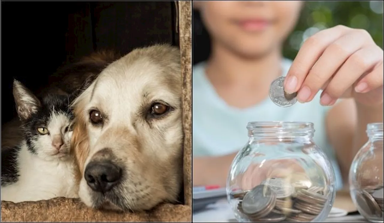 Subsidies, Tax Reliefs For Pet Ownership Can Ensure Better Care For Animals