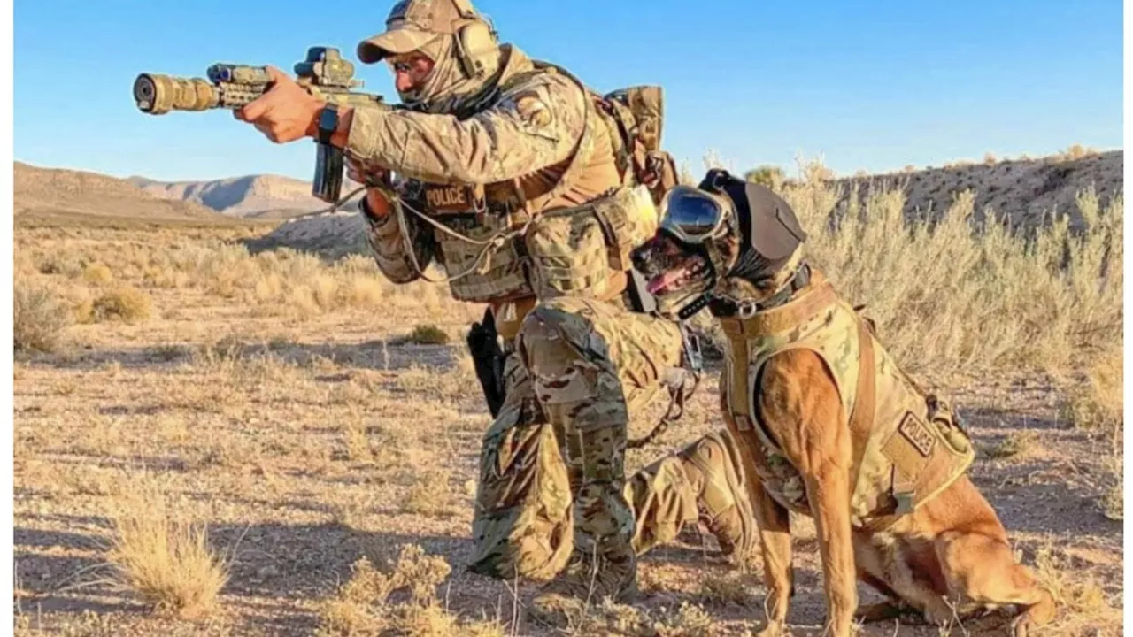 First look at high-tech new kit for Army dogs serving on the frontline as canine heroes get £3m kit...