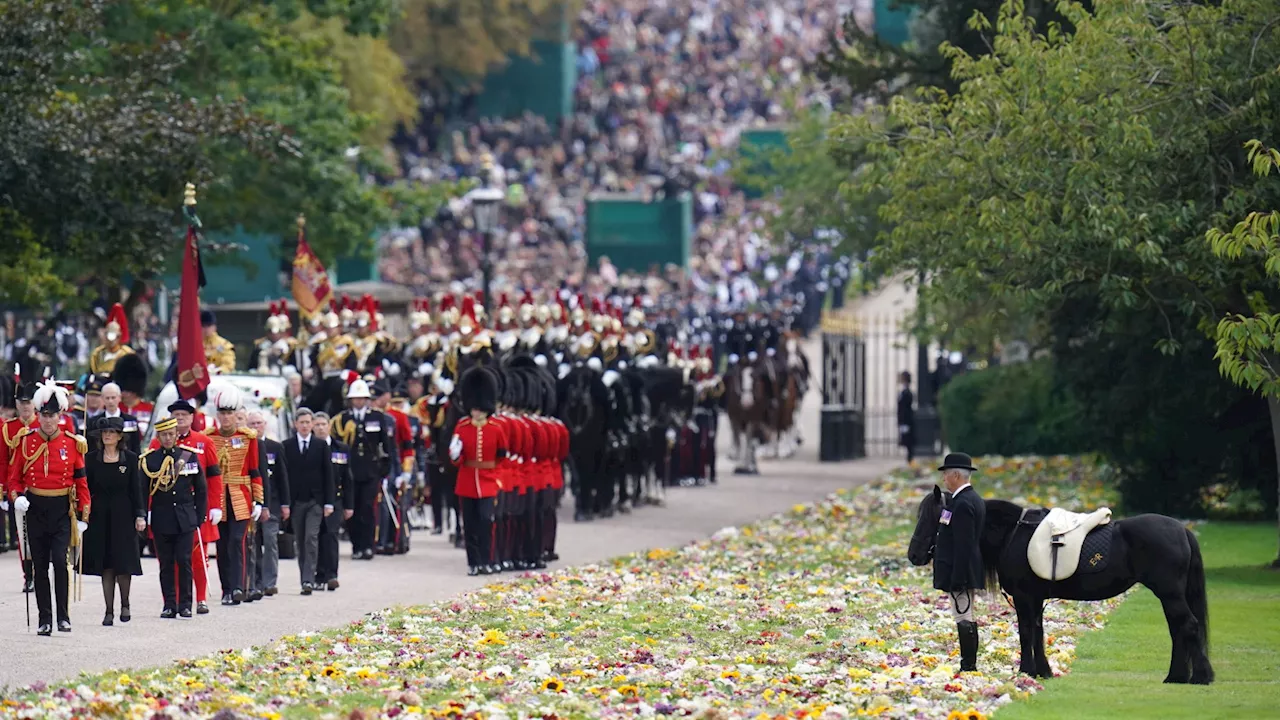 Queen Elizabeth II’s favourite pony Emma – who moved fans to tears at her funeral