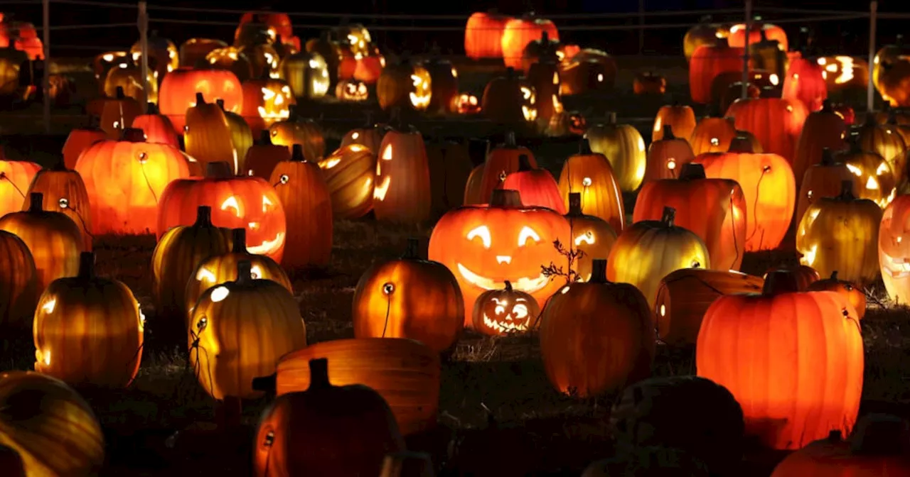 10 Pumpkin Carving Ideas For Halloween 2024