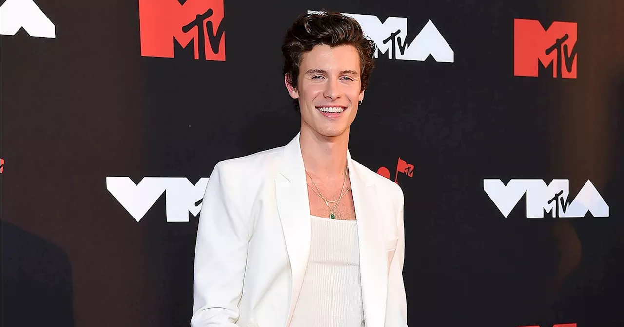 Shawn Mendes Says He Looked for Celebrity Comments on His Instagram