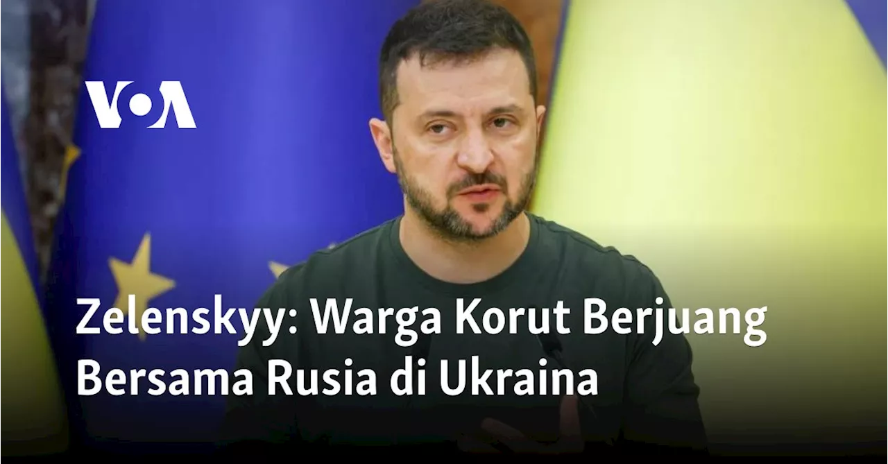 Zelenskyy: Warga Korut Berjuang Bersama Rusia di Ukraina