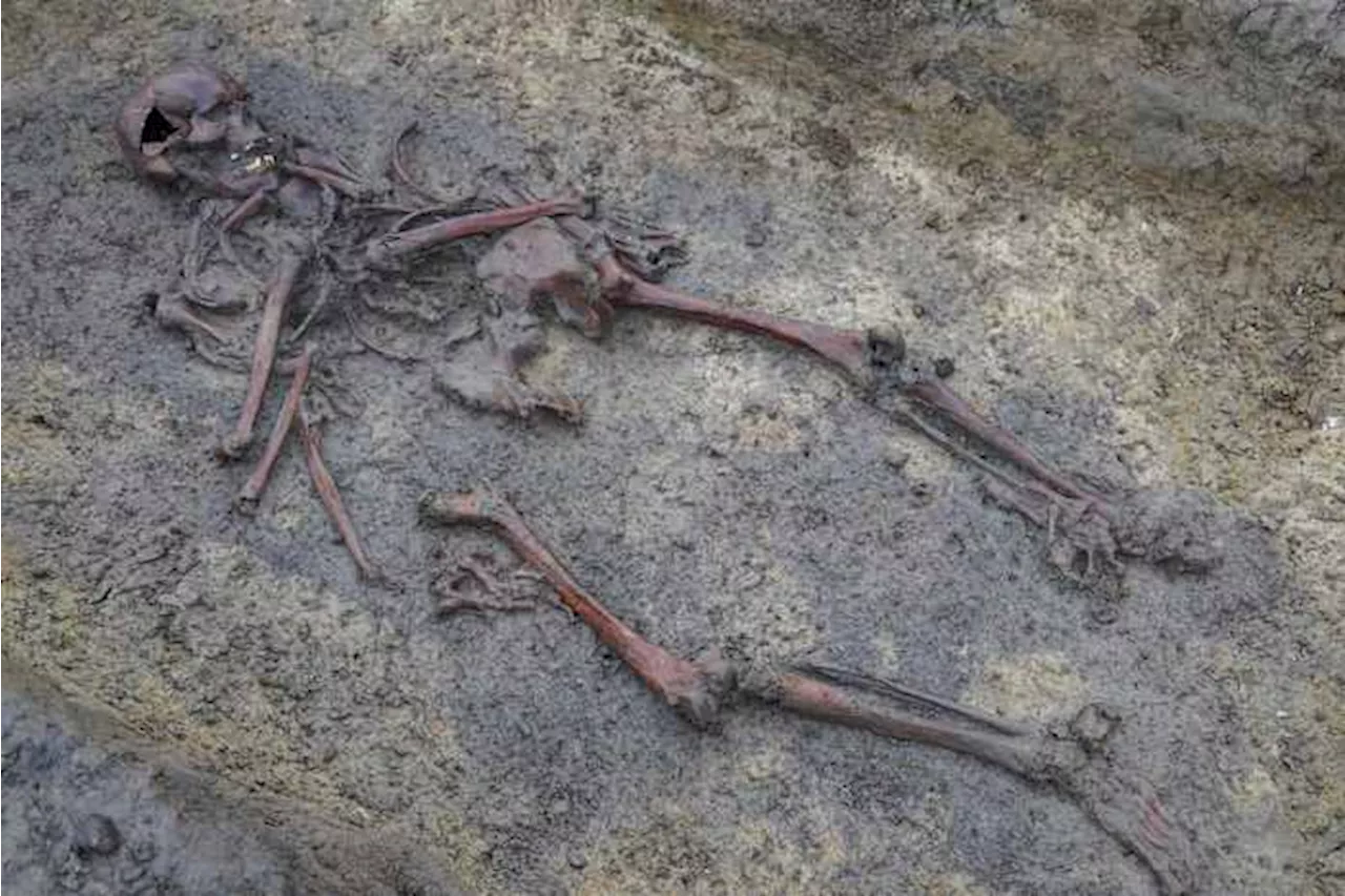 In Denmark, 50 well-preserved Viking Age skeletons have been unearthed, a rare discovery