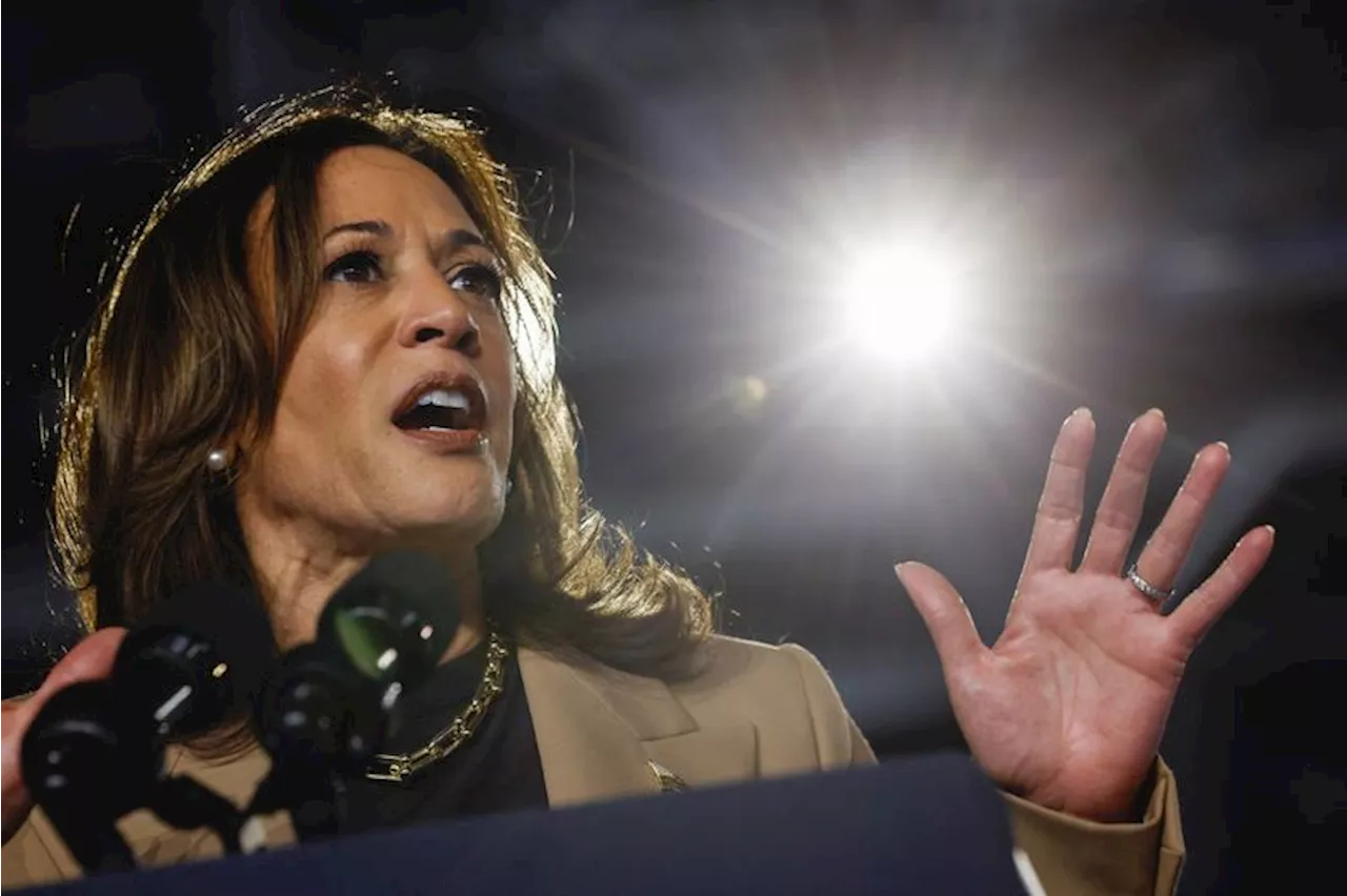 Harris targets Black men with new economic proposals