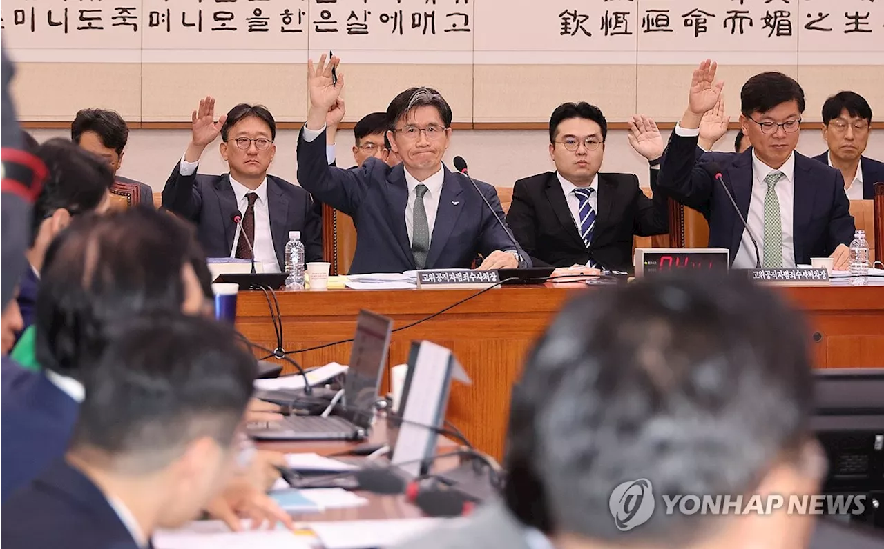 공수처 국감서 與 '민주당과 협업하나' 野 '김건희 전담팀을'(종합)