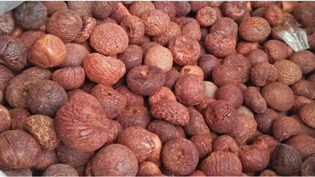 Arecanut Price Today: ಇಂದು ಯಾವ್ಯಾವ ಮಾರುಕಟ್ಟೆಯಲ್ಲಿ ಎಲ್ಲೆಲ್ಲಿ ಅಡಿಕೆ ರೇಟ್?