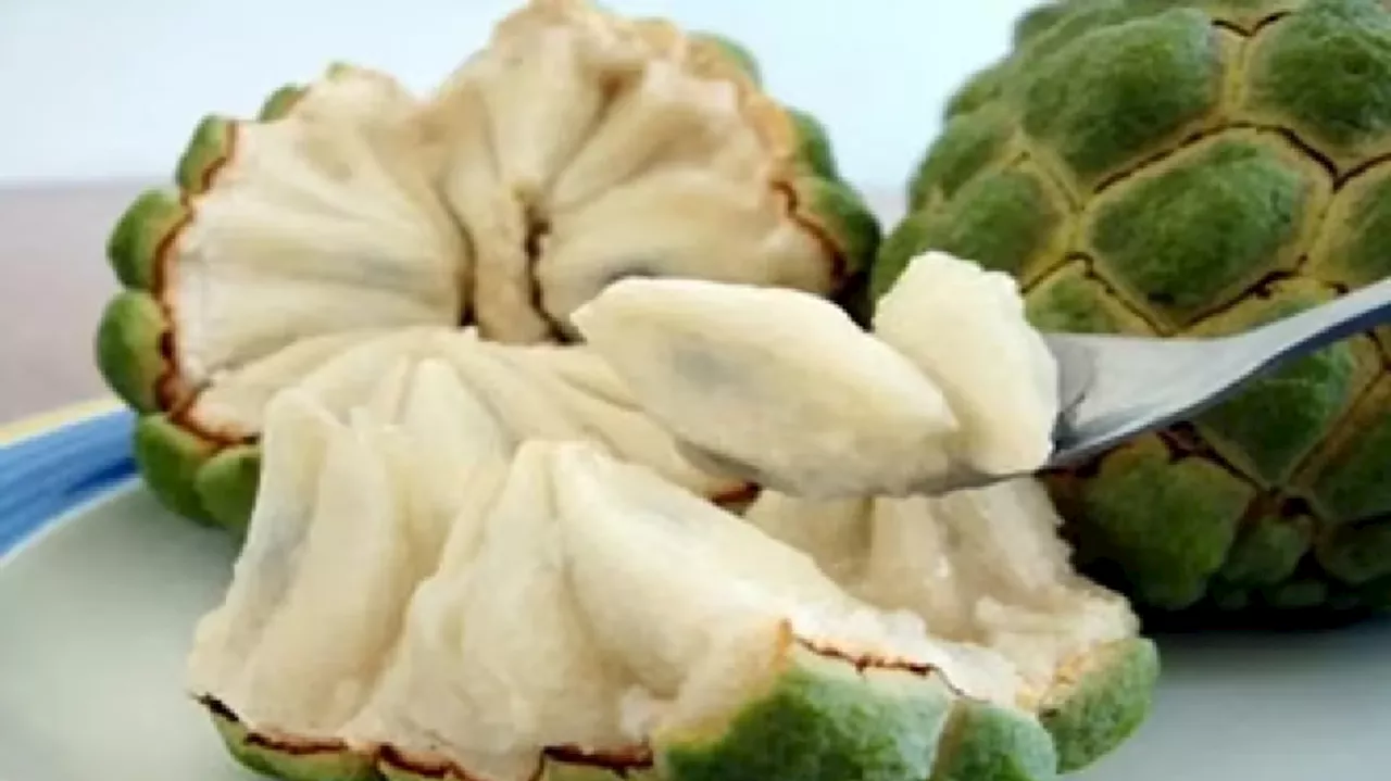 Custard apple: ಇಂತಹ ಜನರು ಅಪ್ಪಿತಪ್ಪಿಯೂ ಸೀತಾಫಲವನ್ನು ಸೇವಿಸಬಾರದು, ದೂರವಿದ್ದಷ್ಟು ಉತ್ತಮ