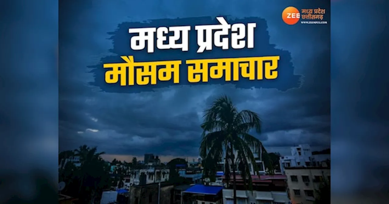 MP के इन 27 जिलों में फिर एक्टिव हुआ मानसून! गरज-चमक के साथ बारिश के आसार, जानें अपने शहर का हाल