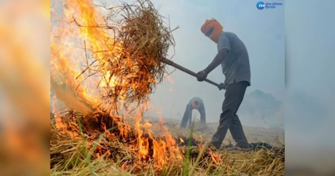 Stubble burning in Punjab: ਪੰਜਾਬ ਚ ਇੱਕ ਦਿਨ ਚ ਪਰਾਲੀ ਸਾੜਨ ਦੇ 162 ਮਾਮਲੇ, ਬਠਿੰਡਾ ਦਾ AQI ਹੋਇਆ 211